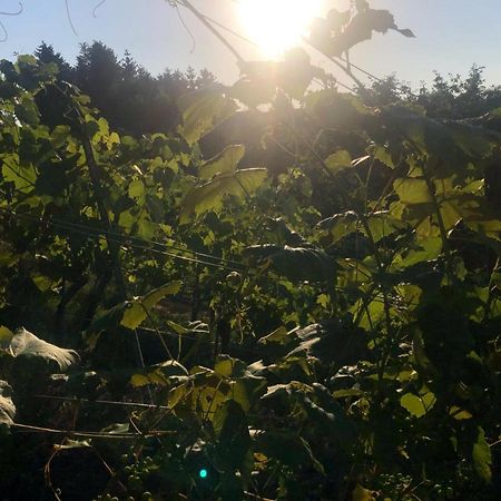 Winzerhaeuschen Kern Appartement Fehring Buitenkant foto