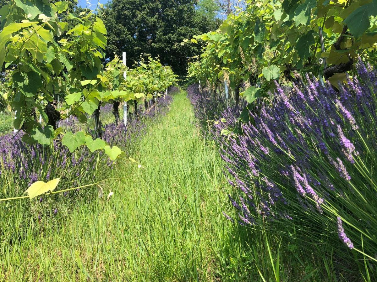 Winzerhaeuschen Kern Appartement Fehring Buitenkant foto